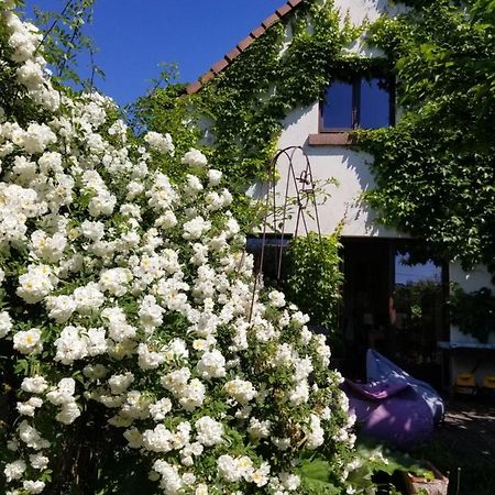 chambre d'hôtes de charme, un temps en forêt Westhouse Exterior foto