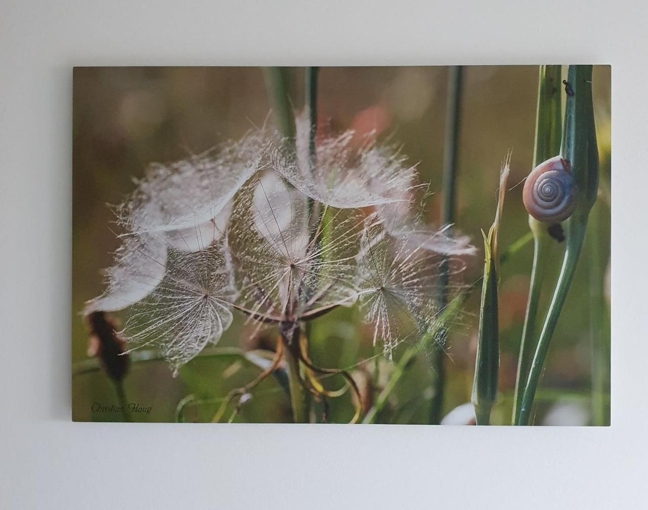 chambre d'hôtes de charme, un temps en forêt Westhouse Exterior foto